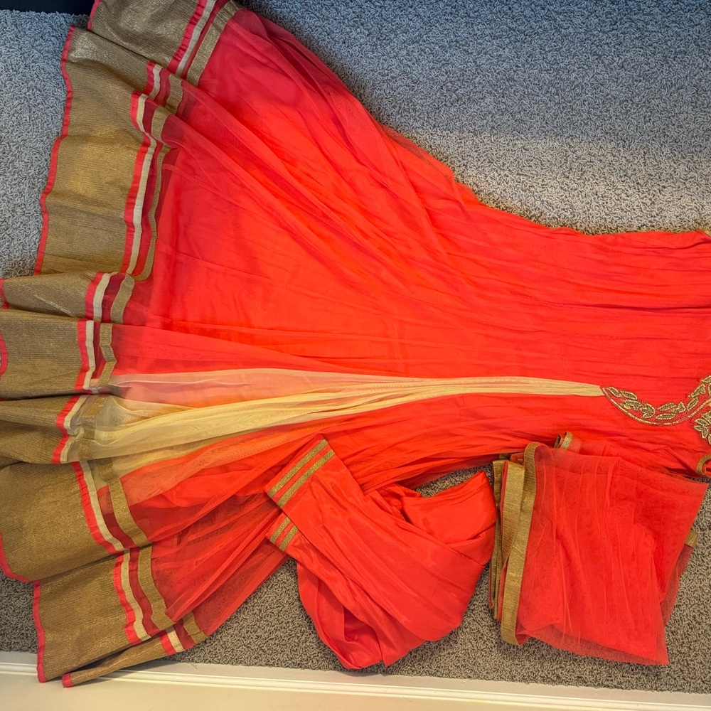 Elegant Red and Gold Traditional Dress